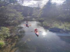 Współpraca polsko-niemiecka